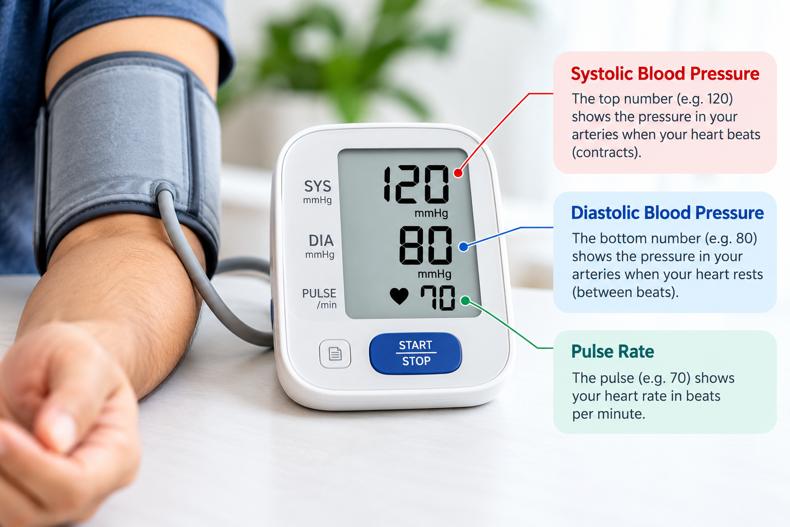 What Does Your Blood Pressure Reading Mean? A Simple Guide to BP Numbers